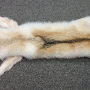 White and Red Wolf Pelt