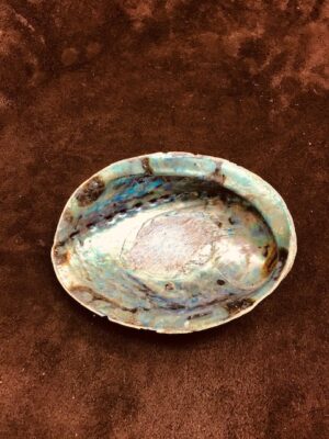 Abalone Shell/Smudge Bowl