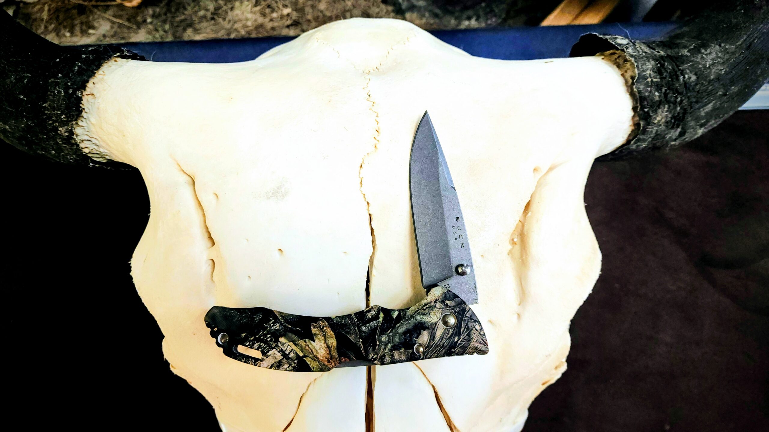 The Buck Bantam BHW (Model 0286CMS24-B)